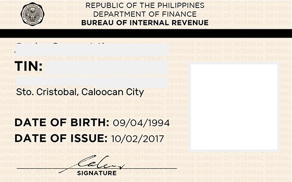 BIR Taxpayer Identification Number (TIN) Application Guide for Foreign Nationals in the Philippines